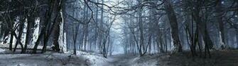 Multiple Display Snow Forest Nature Wallpaper HD