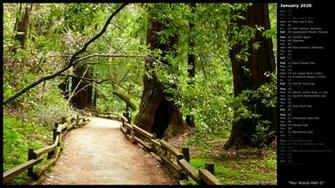 Mlewallpaper Muir Woods Path Ii Calendar
