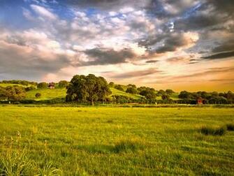 Early Summer Morning Wallpaper And Image Pictures