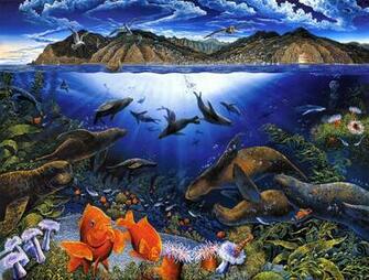 Sea Life Computer Wallpaper Desktop Background Id