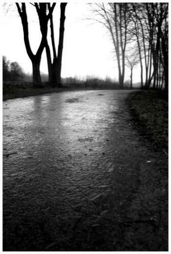 Cold Rainy Day By Hearttunes