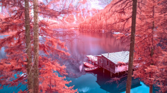 Customize Nature Wallpaper