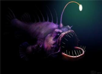 Anglerfish Fish Ocean Sea Underwater Dark Creepy Monster