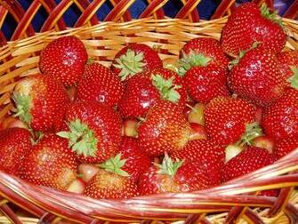 Strawberry Wallpaper Fruit