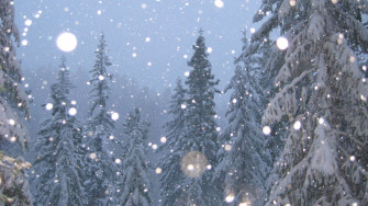 Snow Aesthetic Wallpaper