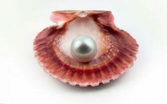 Sea Shell With Pearl Wallpaper Stock Photos