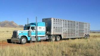 Trucks Semi Peterbilt Wallpaper Hq