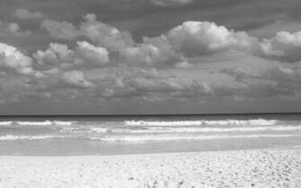 Black And White Wallpaper Beach Landscape HD
