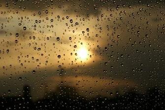 Sugar Love Designs My Affair With Soulful Rain Showers