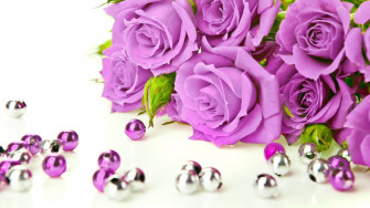 Purple Rose Wallpaper
