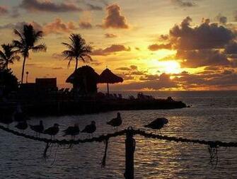 Florida Keys Scenery Catch Me Charters