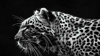 Mx Cheetah Wallpaper Adorable Desktop Image