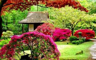 Gardens HD Wallpaper Wallpaper202