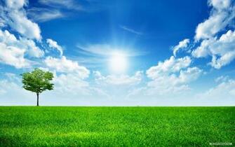 Wallpaper Nature Sunshine And Trees