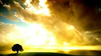 Sun Shining Through The