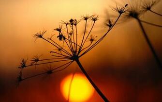 Autumn Sunset Pc Wallpaper Was Posted In