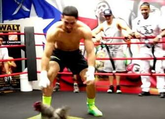 Image Dany Garcia Training Shoulders With G