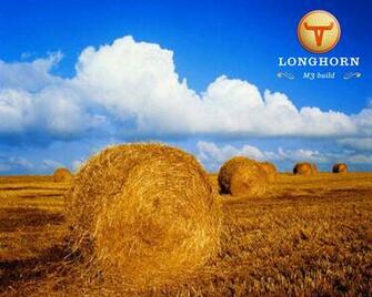 Windows Longhorn Wallpaper
