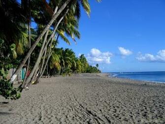 Fond D Cran Martinique Wallpaper Une Grande Plage Au Carbet