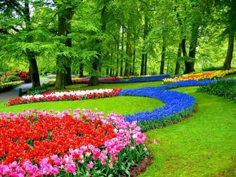 Jardins De Keukenhof HD Papier Peint Bureau Cran Large Haute