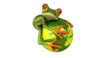 Pictures HD Funny Cartoon Animals 3d Wallpaper