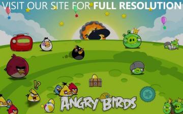 Angry Birds Seasons Photo