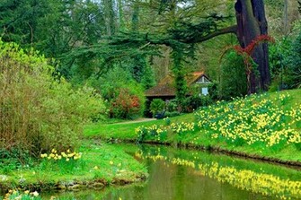Spring Garden Wallpaper HD Desktopinhq Net