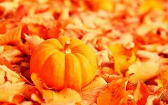 Wallpaper Pumpkin
