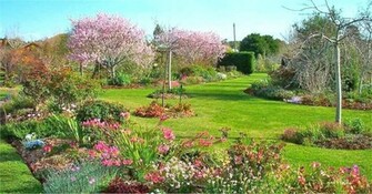 Flower Screen Savers The Expert Flowers Encyclopedia