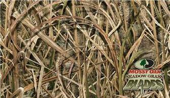 Realtree Camo Mossy Oak Camouflage HD Wallpaper Pictures