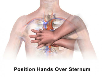 File Cpr Adult Chest Compression Heart Png