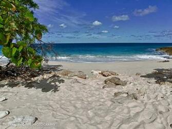 Tropical Beach Wallpaper Welcome To Paradise