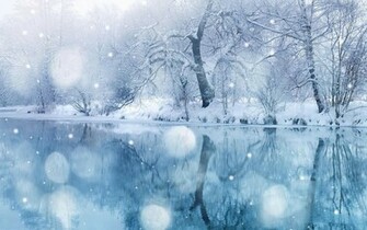 Met Ijs Bomen En Sneeuw Op De Oever HD Winter Wallpaper Foto