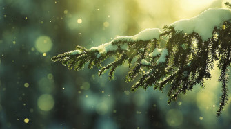 Winter HD Wallpaper Id37187
