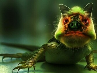 Tablet Pc Wallpaper Funny Background For Your Motorolla
