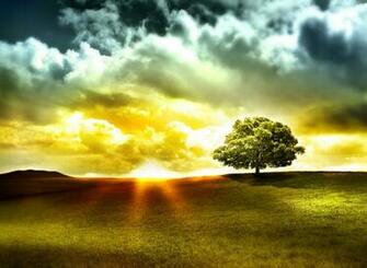 HD Wallpaper Android Ios Windows Phone And Desktop Asus Padfone