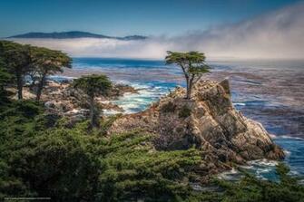 Wallpaper The Lone Cypress Pebble Beach California Usa Desktop