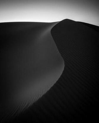Black Friday Best And White Light
