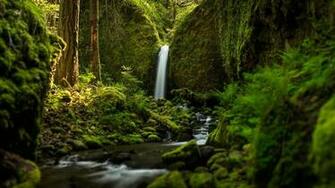 Nature Forests Oregon Waterfalls Ruckel Creek Falls Wallpaper