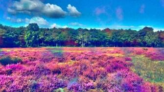 HD Psychedelic Wallpaper HDwallsource