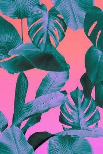 Girly iPhone Background