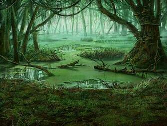 Swamp Computer Wallpaper Desktop Background Id