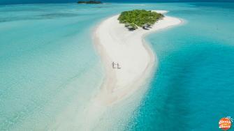 Find Your Beach Bar Bums