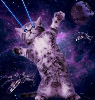 The Space Cats Account Is Greatest Thing Ever Pics