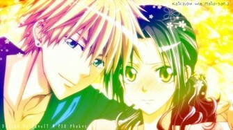 Cartoonwallpaper Wallpaper Kaichou Wa Maid Sama