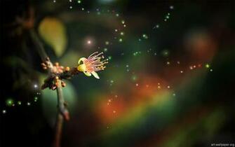 HD Wallpaper Photography Desktop Background