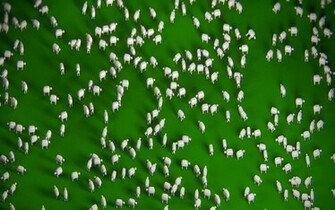 Sheep Wallpaper By Jodroboxes