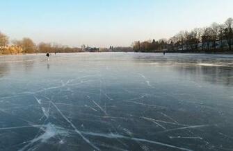 Frozen Pond File Papez In