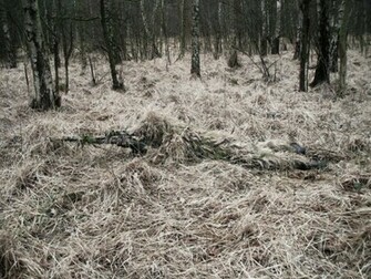 Winter Ghillie By Thetomi