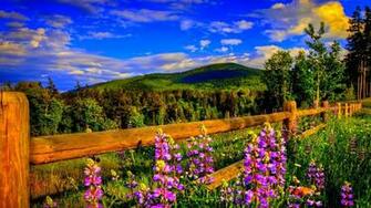 Springtime Wallpaper
